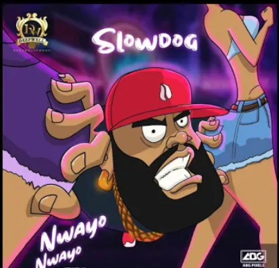 Nwayo Nwayo by Slowdog ( Instrumental )