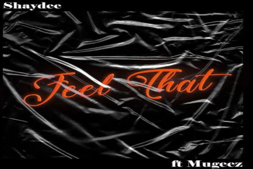 Shaydee ft Mugeez R2Bees – Feel That