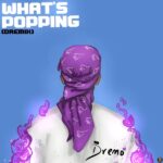 Dremo Whats Popping Mp3 Download