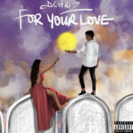 Dchriz – For Your Love