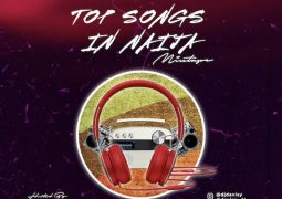 DJ Davisy Naijaloaded Top Songs In Naija Mix May 2021 Edition mp3 download