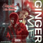 Starkid Ginger Me Freestyle ft. Bellla Shmurda mp3 download