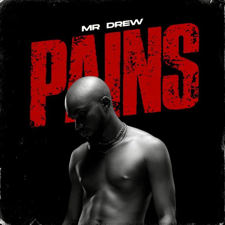 Mr Drew Pains mp3 download