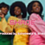Echobeatz & Shady SHADE (Instrumental) mp3 download