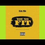 Shatta Wale You No Fit mp3 download