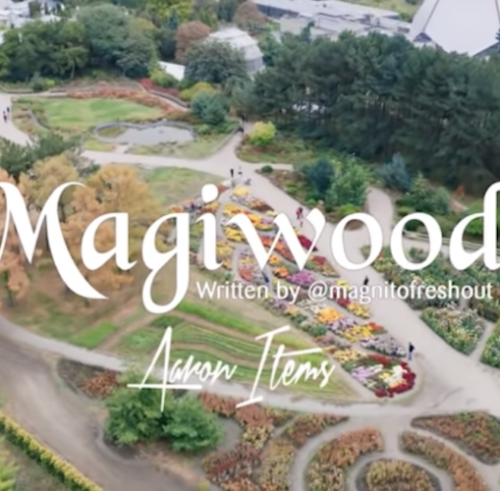 Magnito Magiwood Ft. Bovi mp3 download