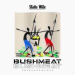 Shatta Wale Bushmeat mp3 download