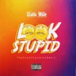 Shatta Wale Look Stupid mnp3 download