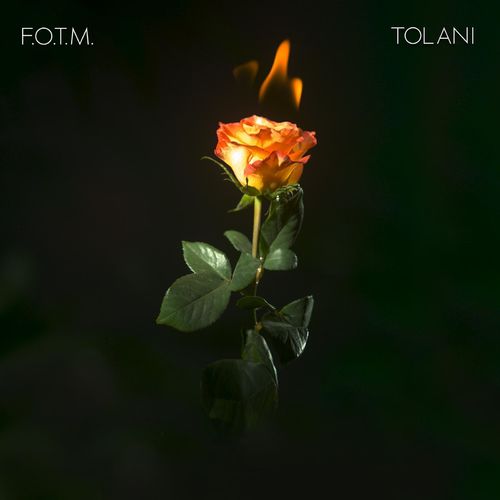Tolani Fire On The Mountain Mp3 Download