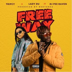 Tripcy & Lady Du Free Me ft. DJ Pee Raven mp3download