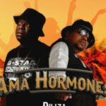 Diliza Ama Hormones Ft. Professor mp3 download