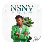 Emmysingz ft. Seyi Vibez NSNV (Mash Up) mp3 download