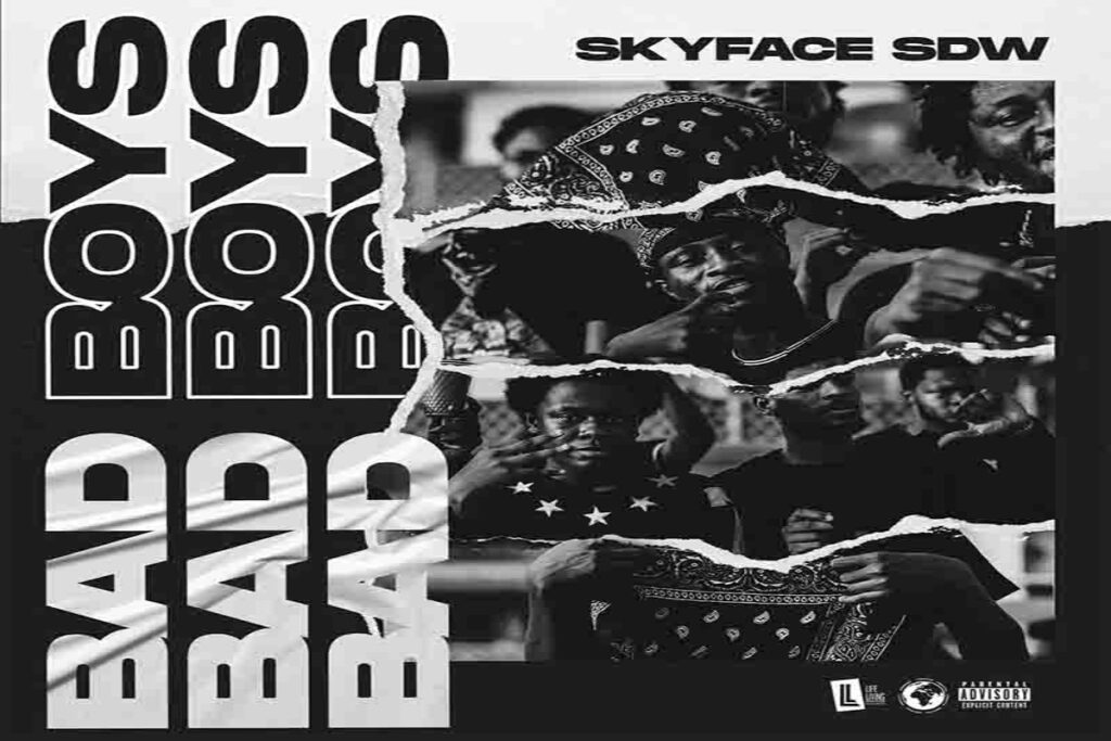 Skyface SDW Bad Boys mp3 download