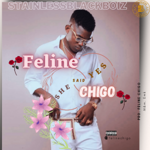 Feline Chigo She Said Yes mp3 download