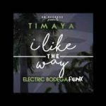 Timaya I Like The Way Remix ft. Electric Bodega 1