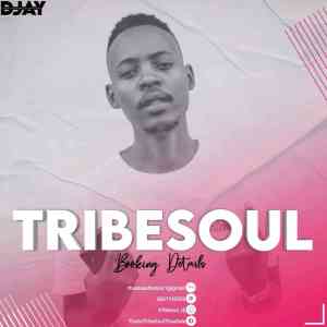 TribeSoul Bido Vega Nkulee mp3 download
