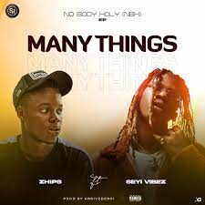 Zhips Many Thing Ft. Seyi Vibez Mp3 Download