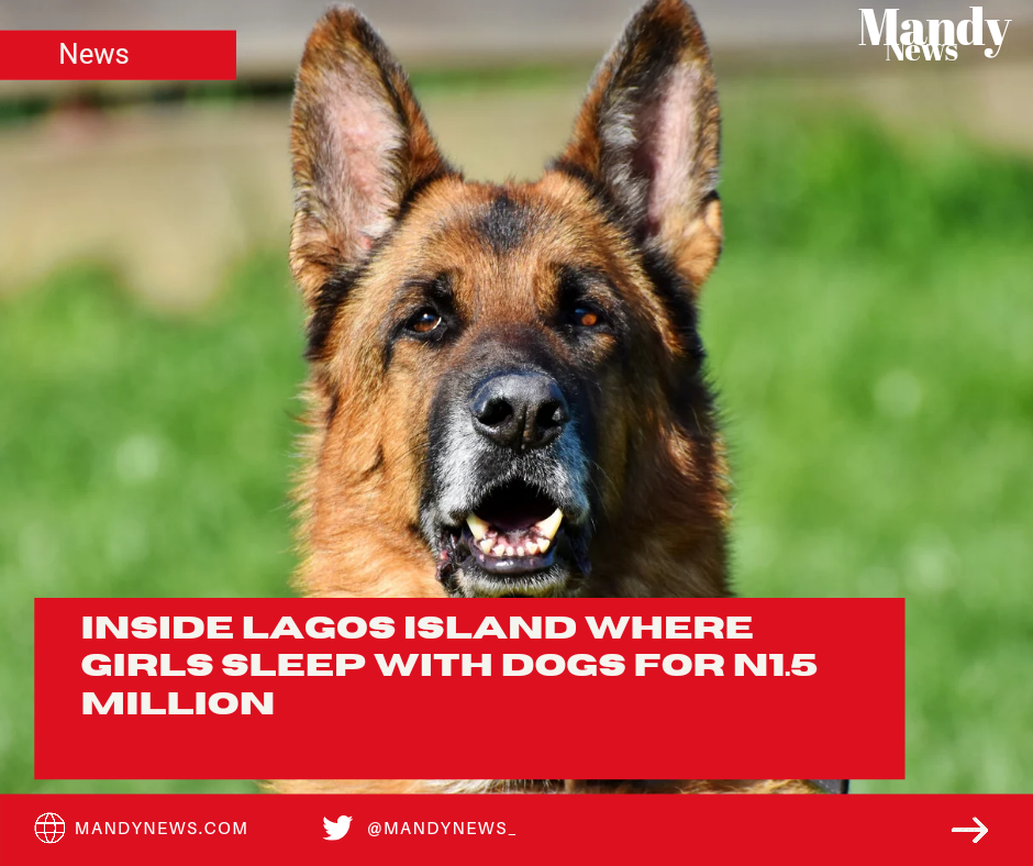 Some Lagos females are being paid N1.5 million to sleep with dogs, according to a Twitter user.