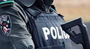 In Anambra Police kill two gunmen enforcing sit at home