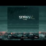 I Octane Black Sherif Sorry Remix mp3 download