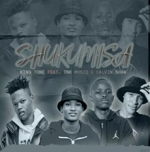 King Tone SA, TNK MusiQ & Calvin Shaw Shukumisa mp3 download