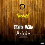 Shatta Wale Adole Mp3 Download