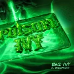 BIG IVY Cj Biggerman Poison Ivy mp3 download