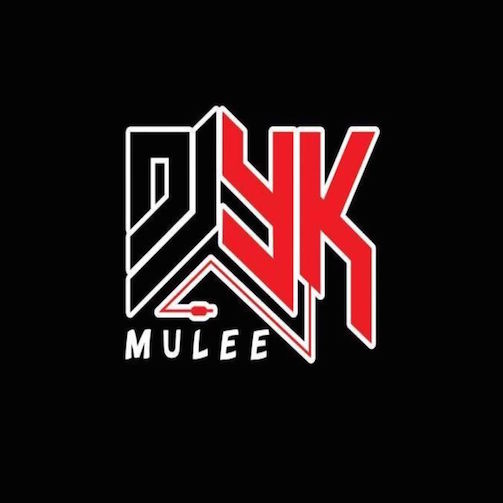 DJ YK Mule Dull Dance Version mp3 download