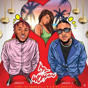 Jareyy My Woman ft. Danny S mp3 download