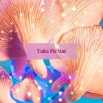 Lyta Take Me Out mp3 download