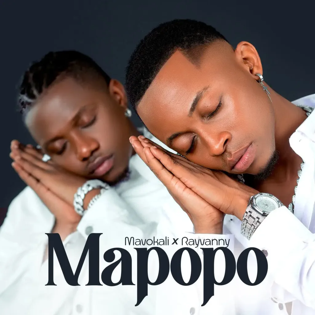 Mavokali Mapopo (Remix) Ft. Rayvanny mp3 download