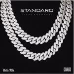 Shatta Wale Standard mp3 download