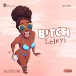 DJ Cora Bitch Leleyi mp3 download