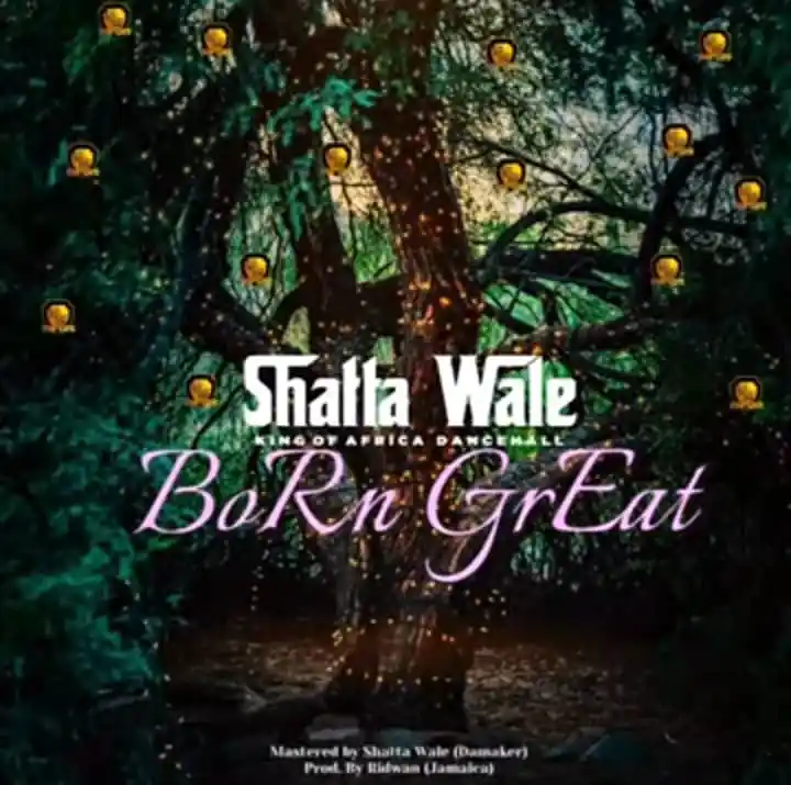 Shatta Wale Born Great mp3 download