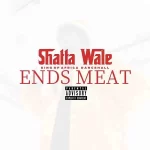Shatta Wale Ends Meat mp3 download