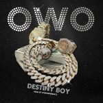 Destiny -Boy OWO